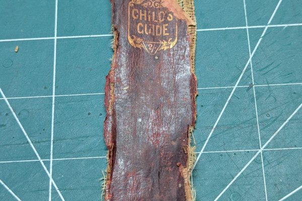 The old spine.