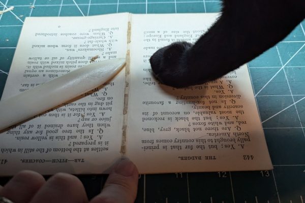Shadow is helping to flatten the pages.