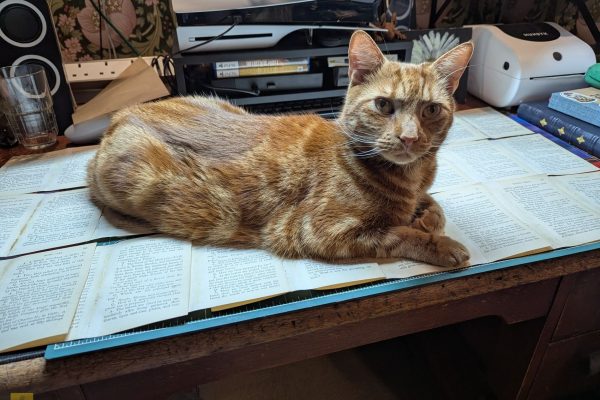 Ziggy helping to keep the paper flat when drying.