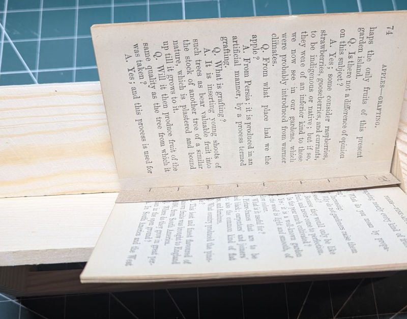 Book Restoration: Part 2 Header.