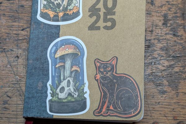 My A6 diary