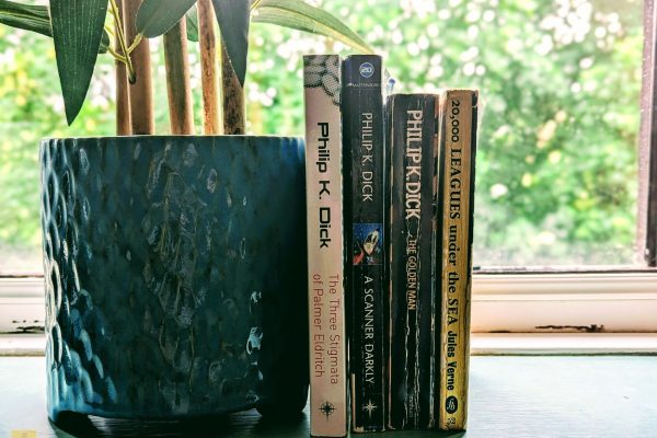 Finds at Hay-on-Wye.